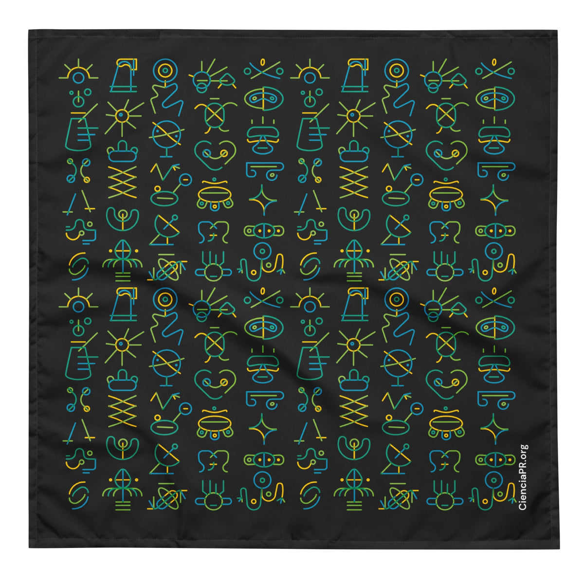 CienciaPR Petroglyphs Pattern