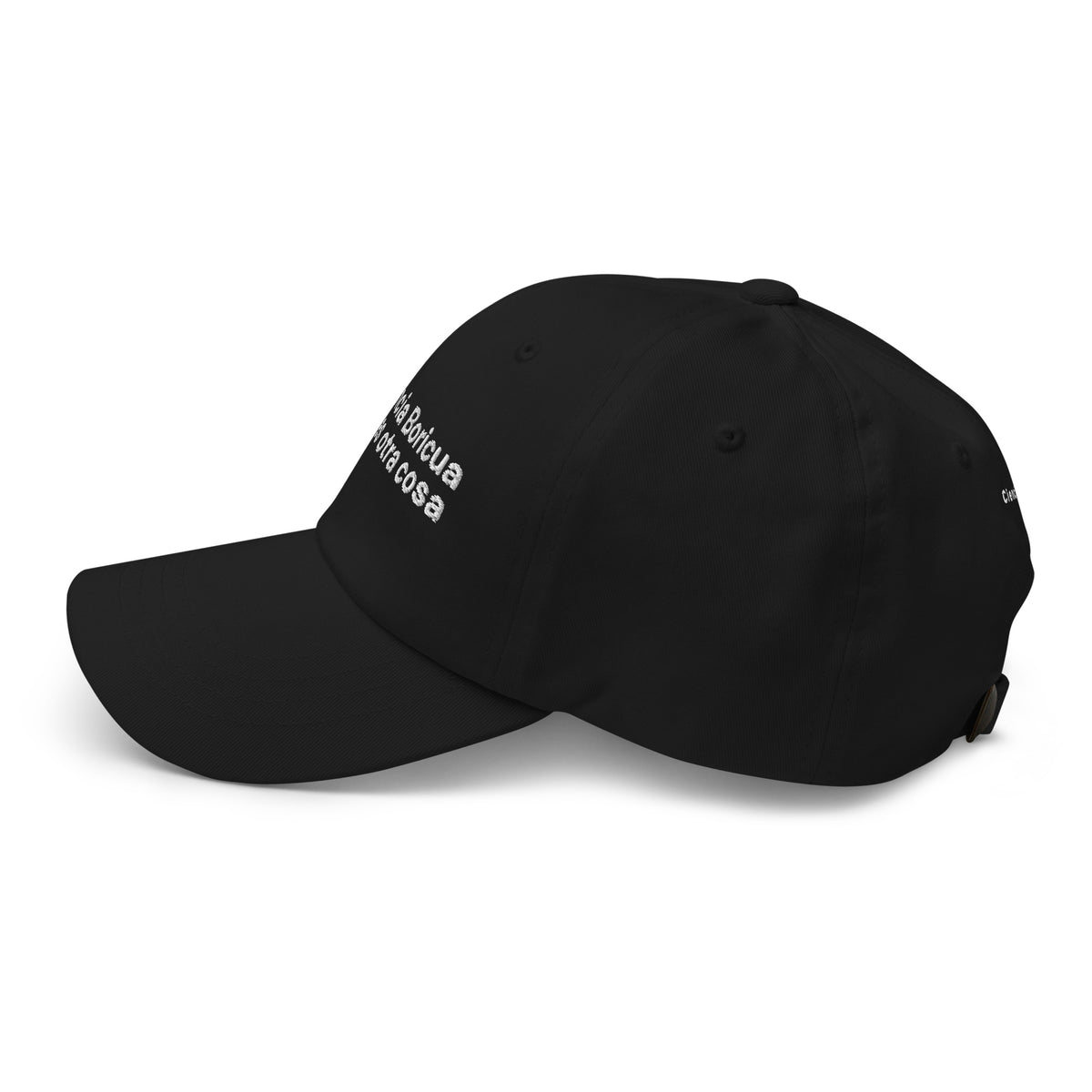 Ciencia Boricua minimalist hat